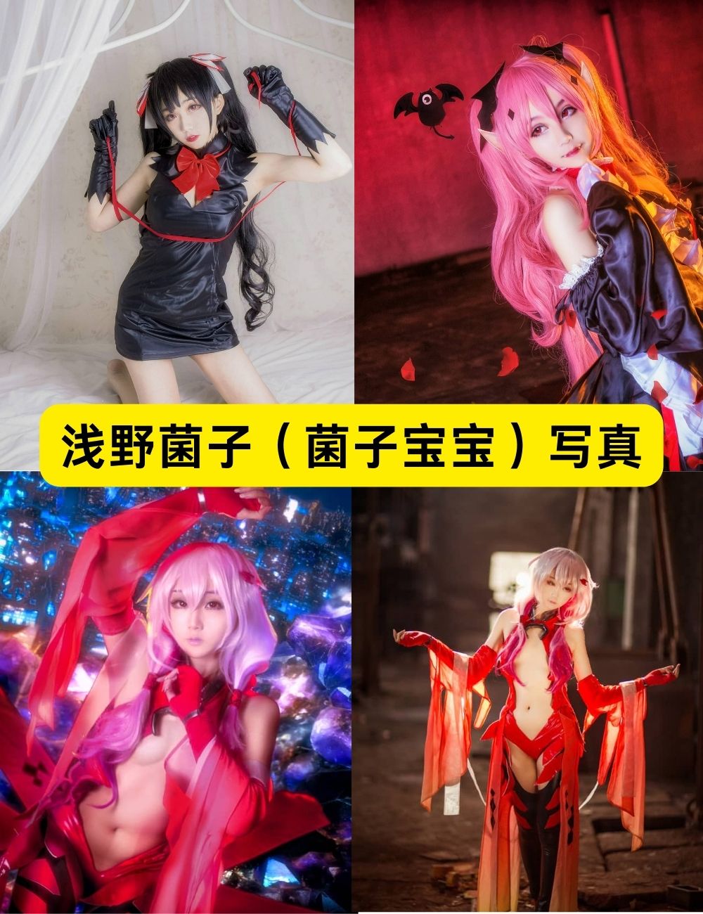 浅野菌子泳装美腿福利写真图包合集资源下载