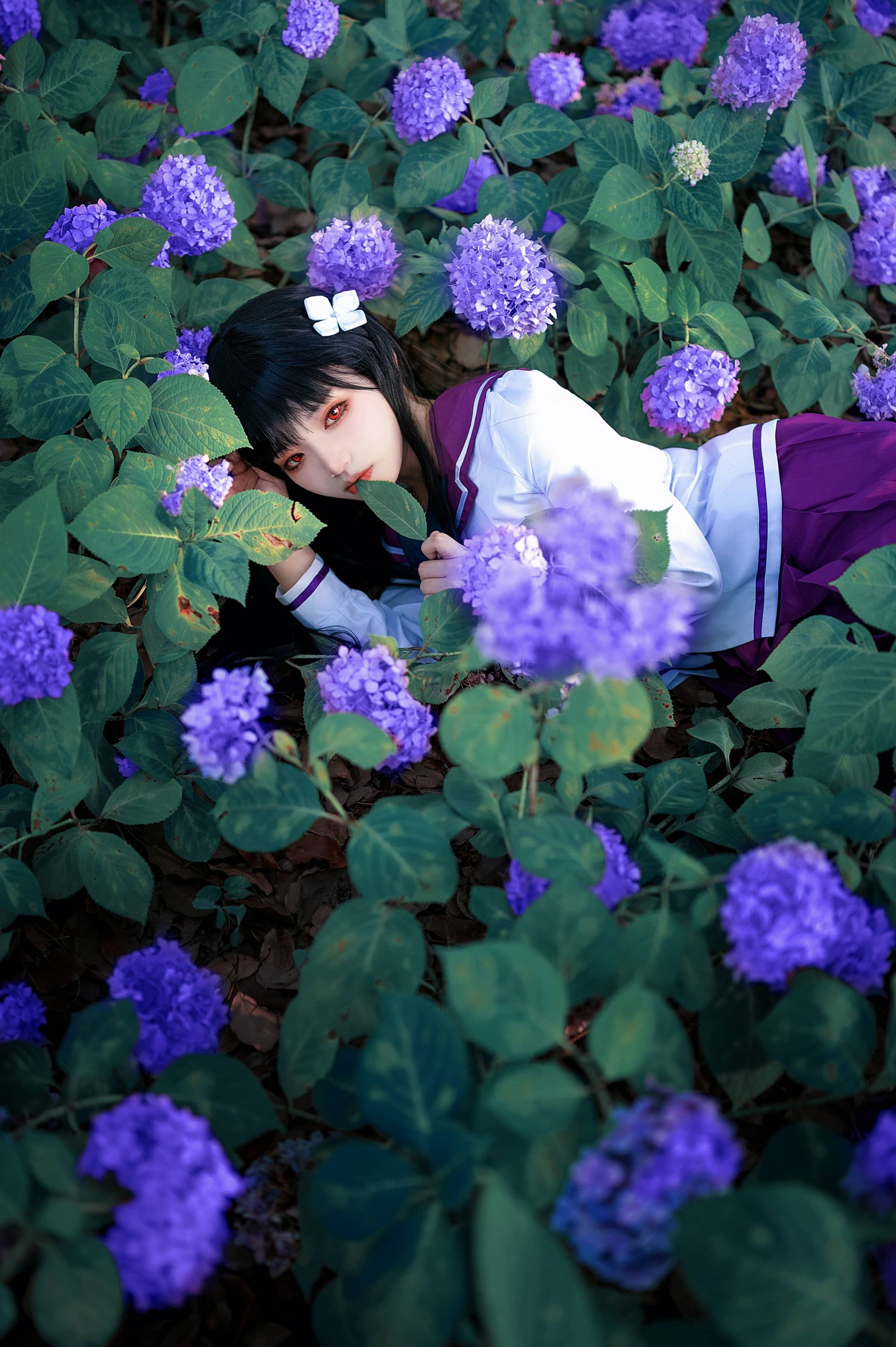 唯美性感coser伊喵君_Nya全套图包合集下载 唯美性感coser伊喵君_Nya全套图包合集下载