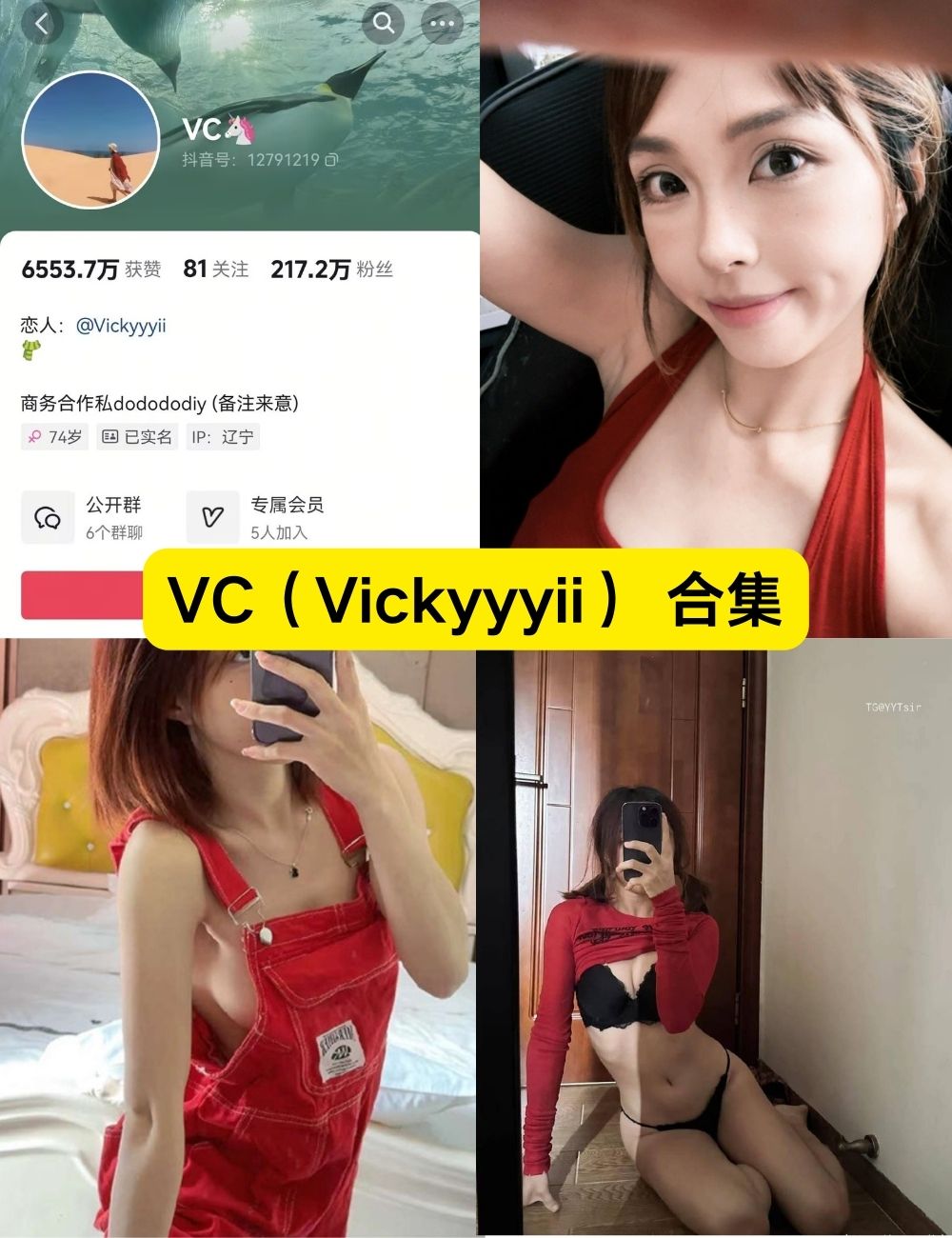 VC（Vickyyyii）微密圈 童颜巨乳写真图片以及视频资源合集