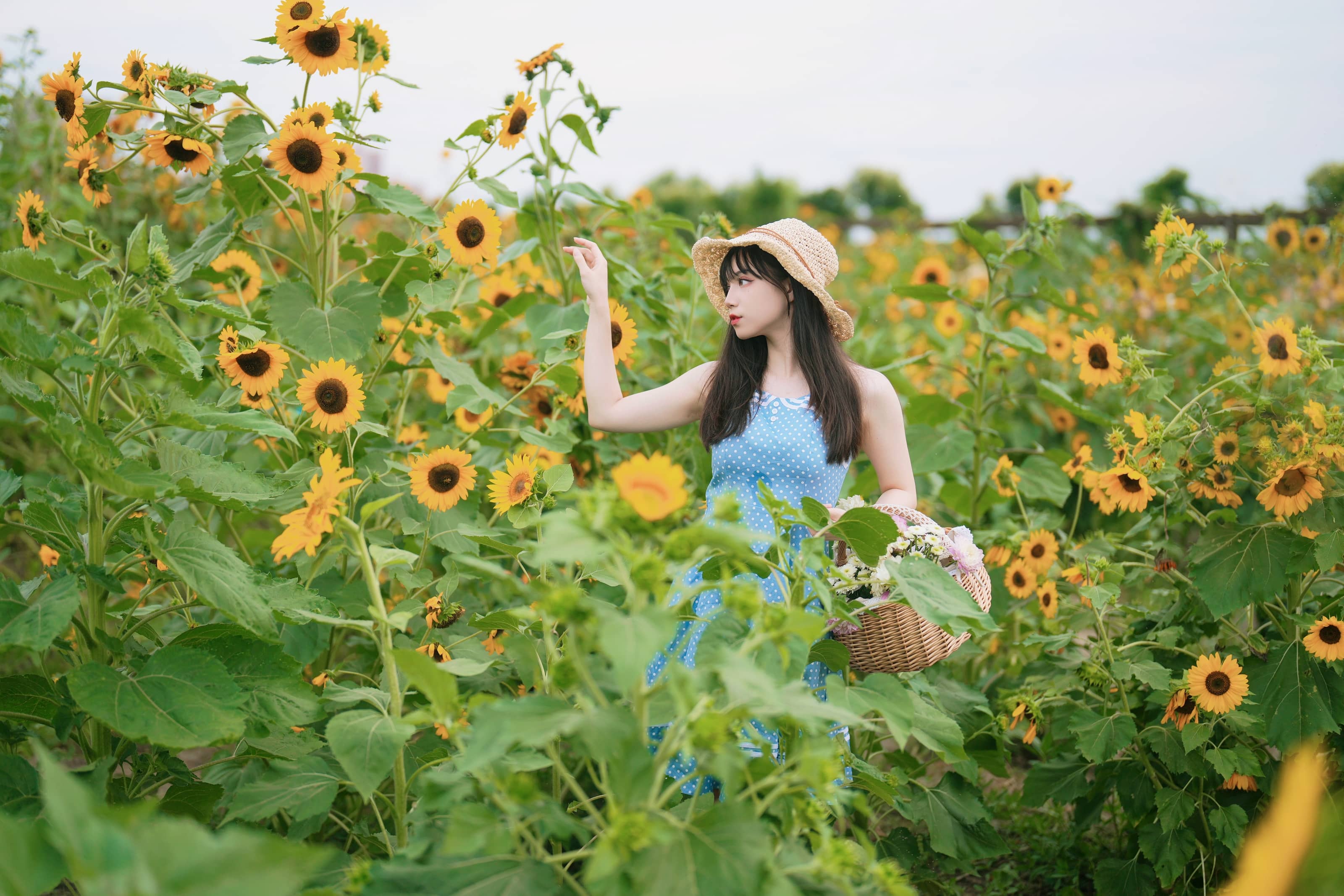 贰加六甜美萌妹精致写真套图下载
