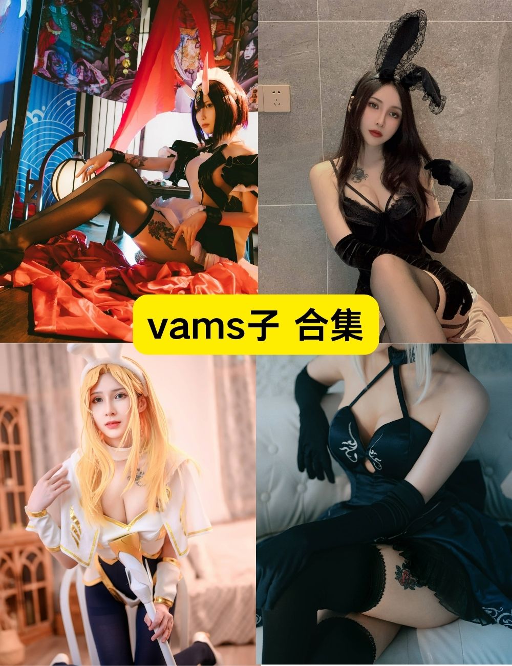 vams子 黑丝御姐 11套写真图片以及视频合集下载