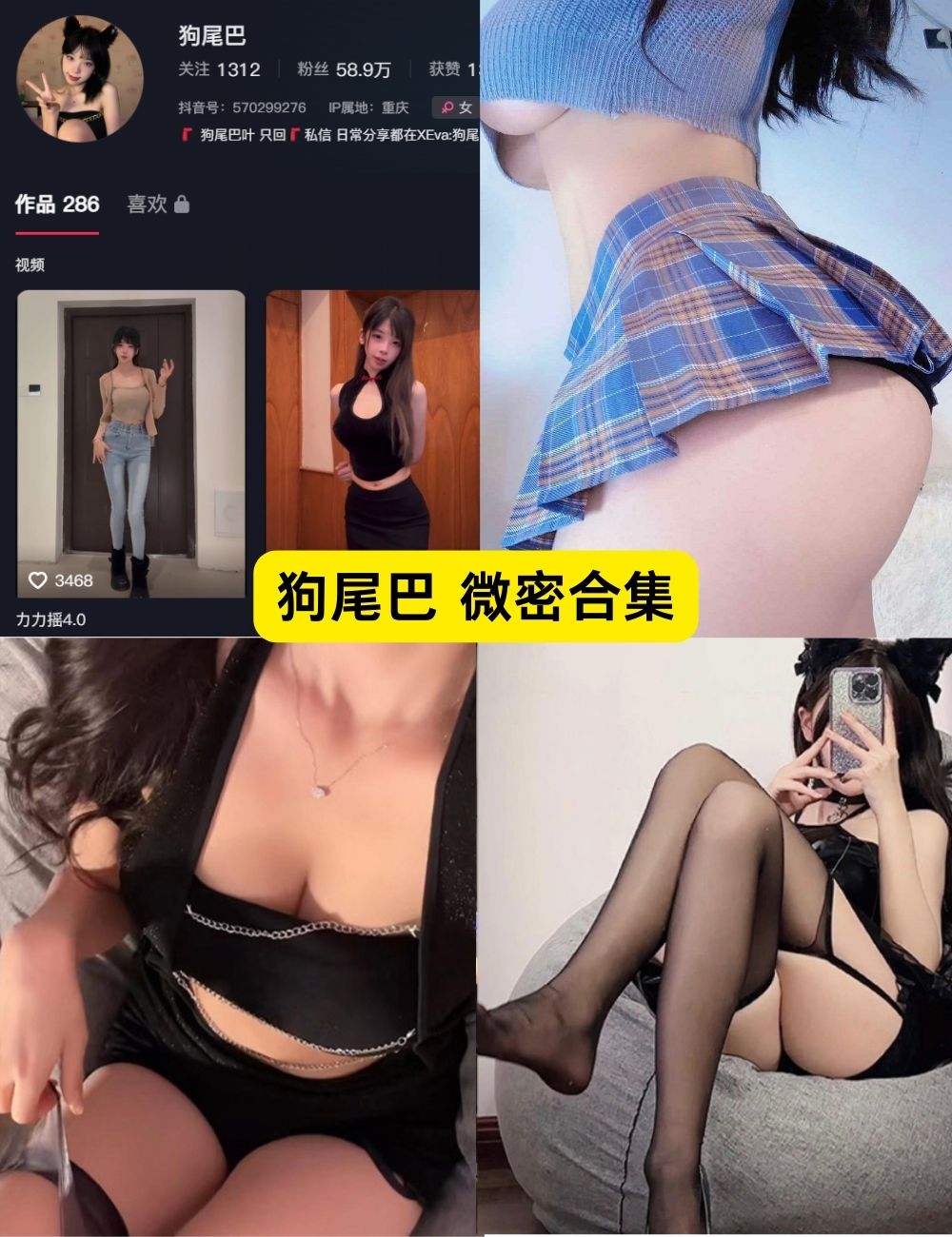 微密圈 狗尾巴 写真图片及视频下载 微密圈 狗尾巴 写真图片及视频下载
